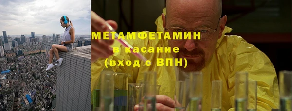 индика Алексин