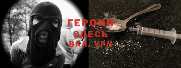 индика Алексин