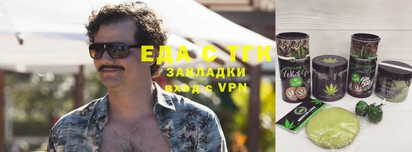 индика Алексин