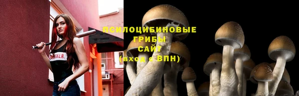 стафф Алексеевка