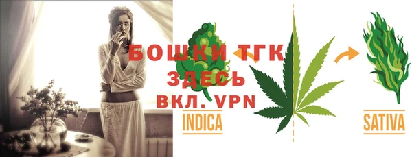 индика Алексин