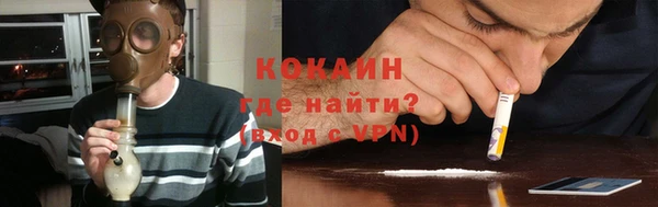 индика Алексин