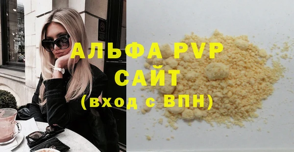 индика Алексин