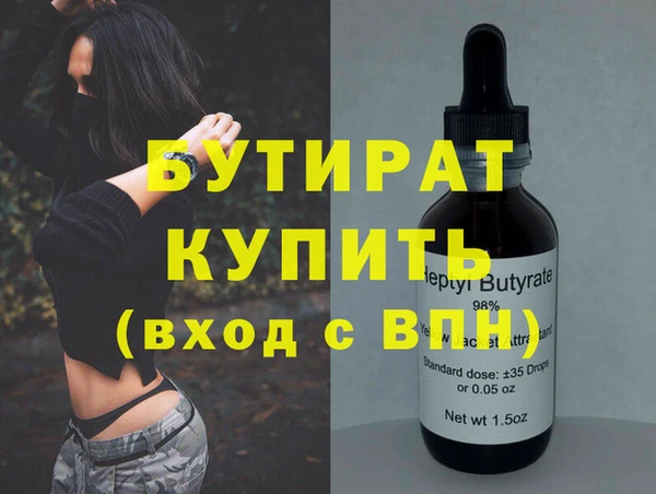 индика Алексин