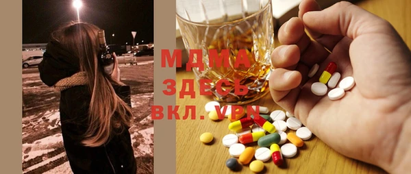 индика Алексин
