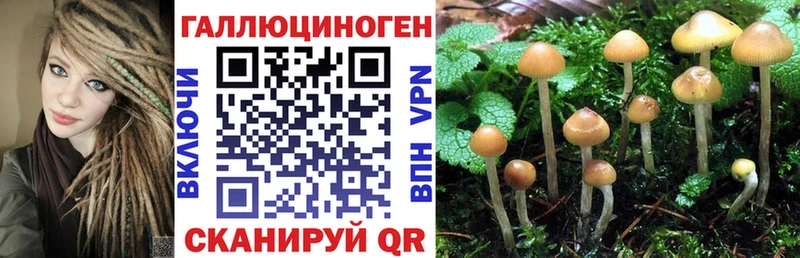 купить наркоту  Егорьевск  Псилоцибиновые грибы GOLDEN TEACHER 